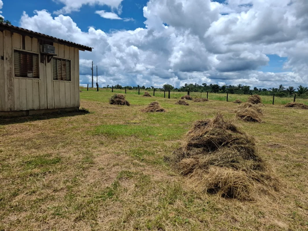🌿 SÍTIO À VENDA – 35 ALQUEIRES 🌿