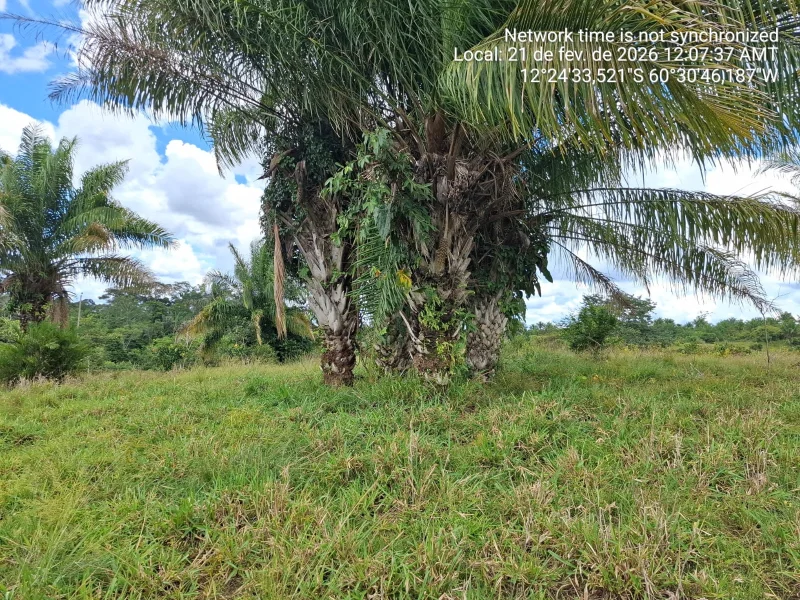 🌿 SÍTIO À VENDA – 35 ALQUEIRES 🌿