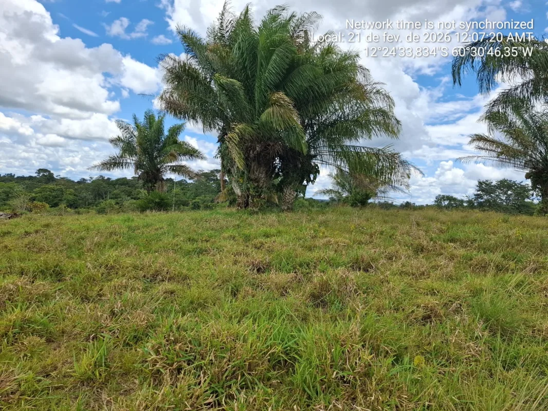 🌿 SÍTIO À VENDA – 35 ALQUEIRES 🌿