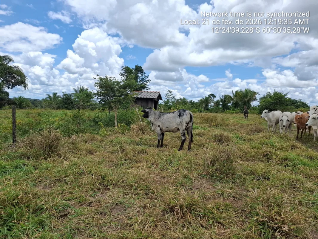 🌿 SÍTIO À VENDA – 35 ALQUEIRES 🌿