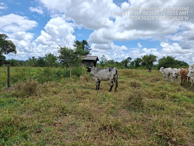🌿 SÍTIO À VENDA – 35 ALQUEIRES 🌿