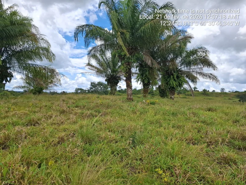 🌿 SÍTIO À VENDA – 35 ALQUEIRES 🌿