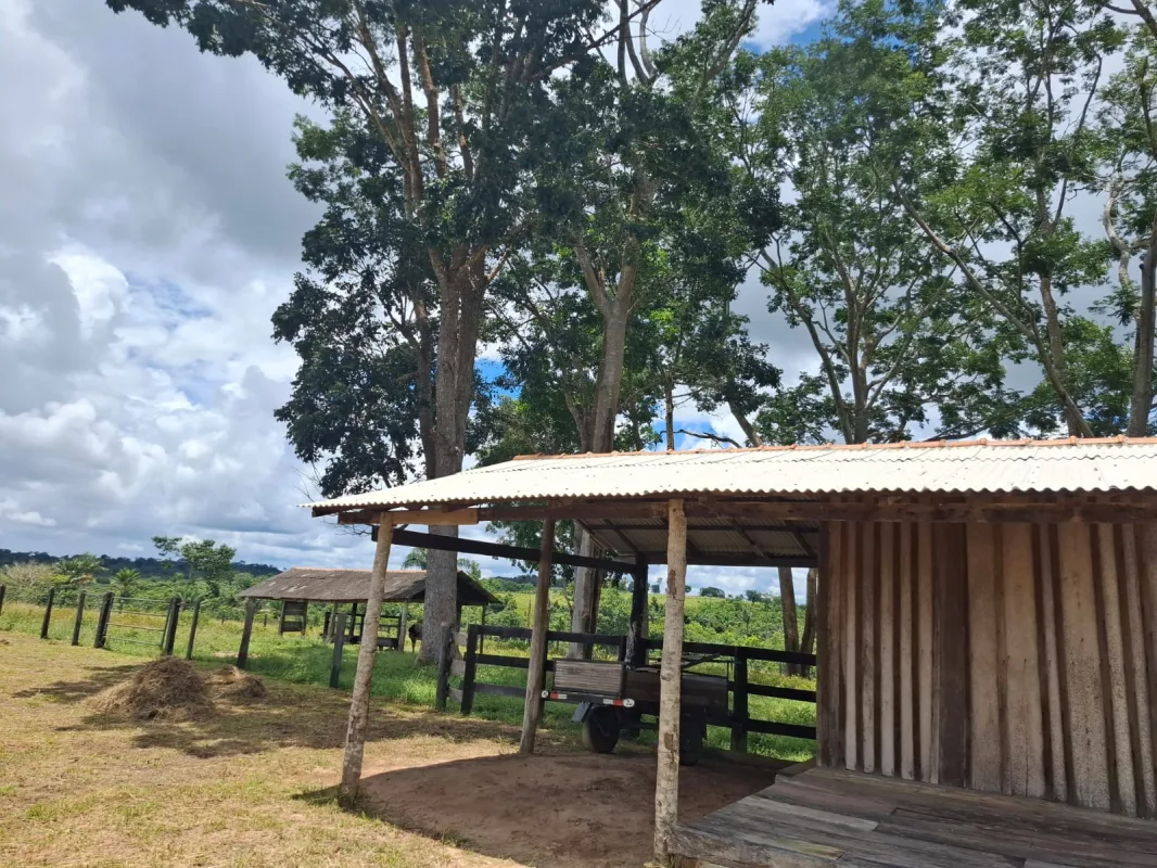 🌿 SÍTIO À VENDA – 35 ALQUEIRES 🌿