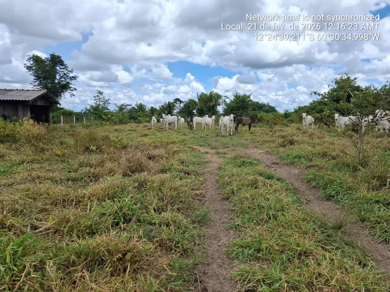 🌿 SÍTIO À VENDA – 35 ALQUEIRES 🌿