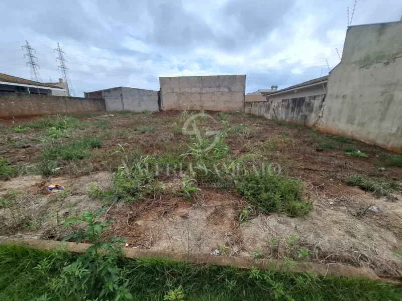 Terreno Jardim Campo Belo