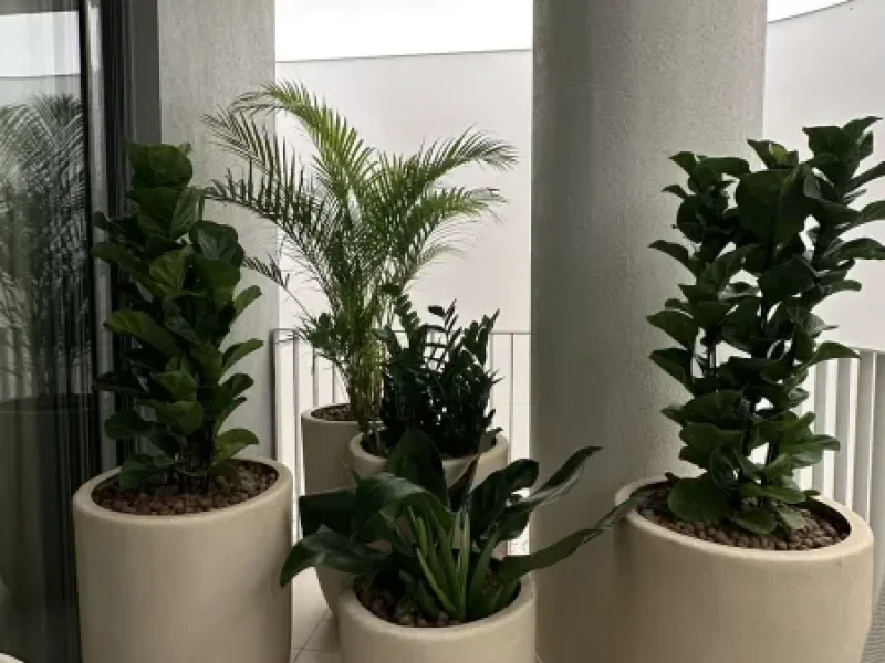 Exclusivo Apartamento PASEO INGÁ 